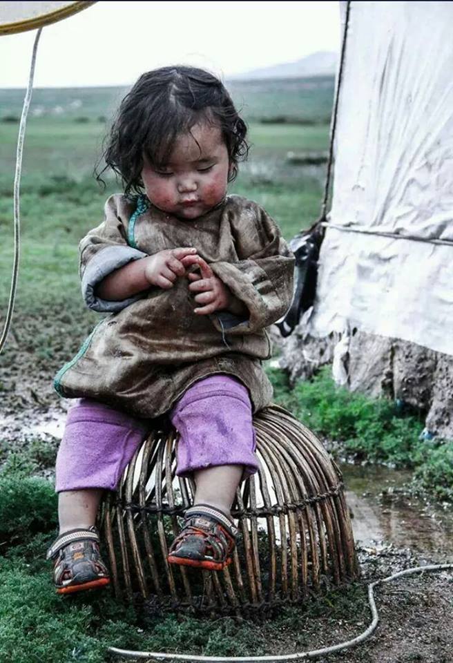 Тоодой хүүгийн бодол